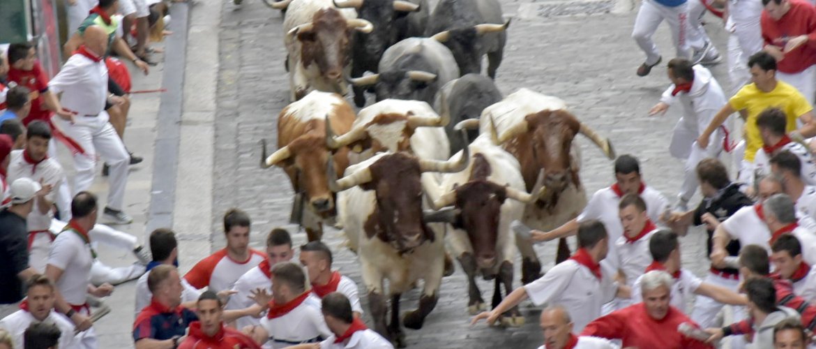 La manada, en un momento del encierro de este 9 de julio. Foto del Ayuntamiento de Pamplona.